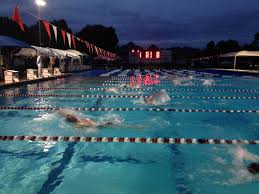 Image result for Elmbridge Phoenix Swimming Club