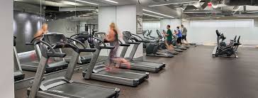 Image result for Liberte Fitness