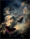 Tears In Heaven