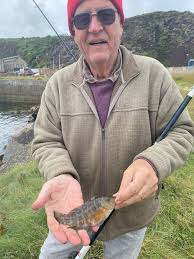 Image result for British Conger Club