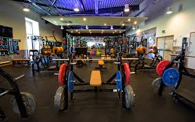 Image result for Surrey Sports Development Unit