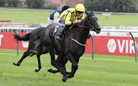 Image result for Ayr Riding Club