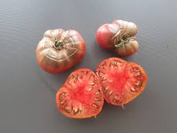 Afbeeldingsresultaat voor black elephant tomato