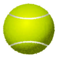 Image result for Wetherby Castlegarth Tennis Club
