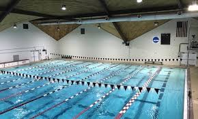 Image result for Ware Swimming Club