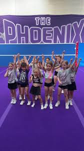 Image result for Phoenix Stars Cheerleaders