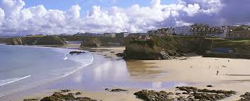 Image result for Buckhorn Weston Cricket Club