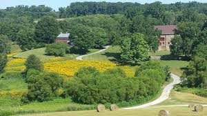 Image result for Stroud Valley Sac