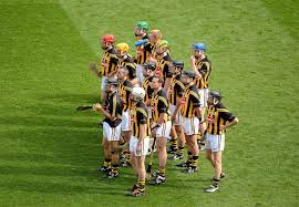 Image result for Kilkenny Bandits