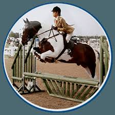 Image result for Palmers Riding Stables