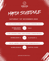 Image result for Southfields Netball Club