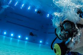 Image result for Seaham Sub Aqua Club