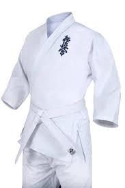 Image result for Kyokushin Karate