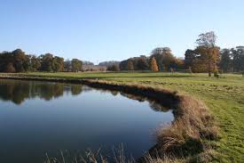 Image result for Belton Park Golf Club