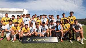 Image result for Wellington Rugby Football Club Limited