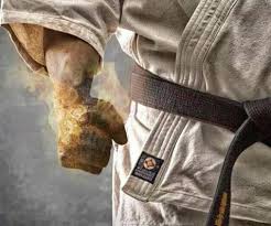 Image result for Tora-Kai Judo