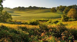 Image result for Stroud Valley Sac