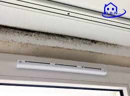 Image result for nawiewnik