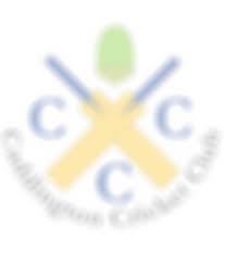 Image result for Caddington Cricket Club