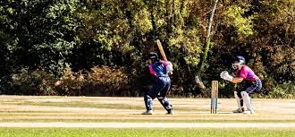 Image result for Yateley Cricket & Hockey Association