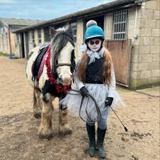 Image result for South Weylands Equestrian