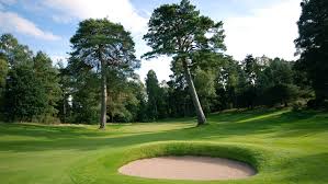 Image result for Blairgowrie Bowling Club