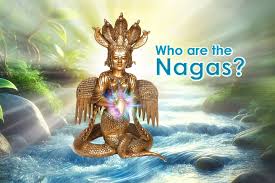 Kuvahaun tulos haulle nagas