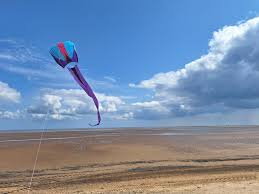 Image result for Midlands Kite Fliers