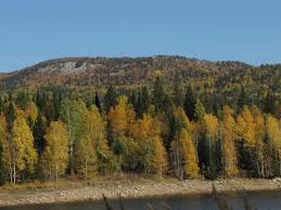 Картинки по запросу малый