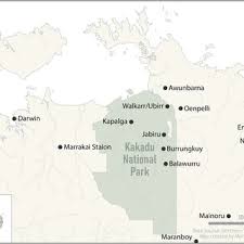 Billedresultat for kakadu n...