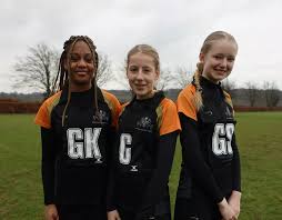 Image result for Wandsworth Netball Club