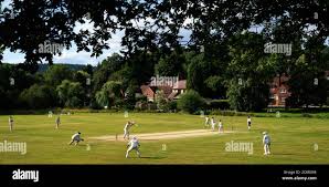 Image result for Worplesdon & Burpham Cricket Club