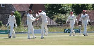 Image result for Bashley (Rydal) Cricket Club