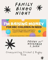 Image result for Croesyceiliog Cricket Club