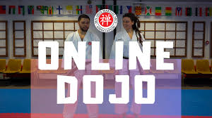 Image result for Zen Shin Seicho Do Adult Karate