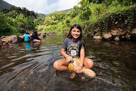 Image result for Bushin Kenpo Kai Schools