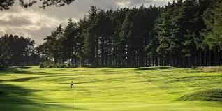 Image result for Forfar Golf Club