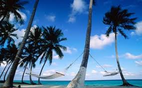 Image result for платформа Андрос