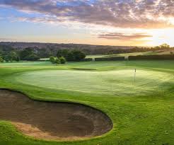 Image result for Aldwickbury Park Golf Club