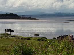Image result for Solway