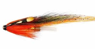 Image result for Warlingham & District Anglers` Society