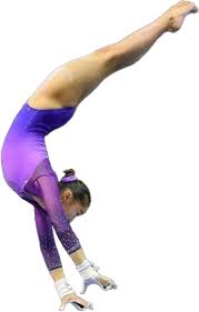 Image result for York University Gymnastics Club