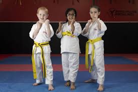 Image result for Great Britain Martial Arts Academy