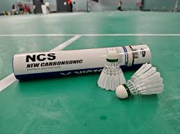 Image result for Flight Path Badminton Club