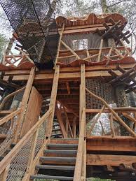 Image result for Go Ape! Moors Valley