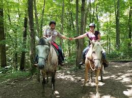 Image result for Shey Copse Riding Centre