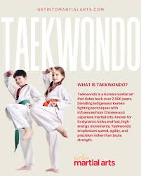 Image result for Get Into Martial Arts