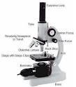 The Parts of a Microscope