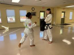 Image result for New Milton Taekwondo Club