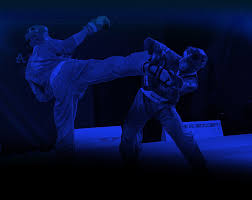 Image result for Bushido Academy Of Martial Arts (Bama)